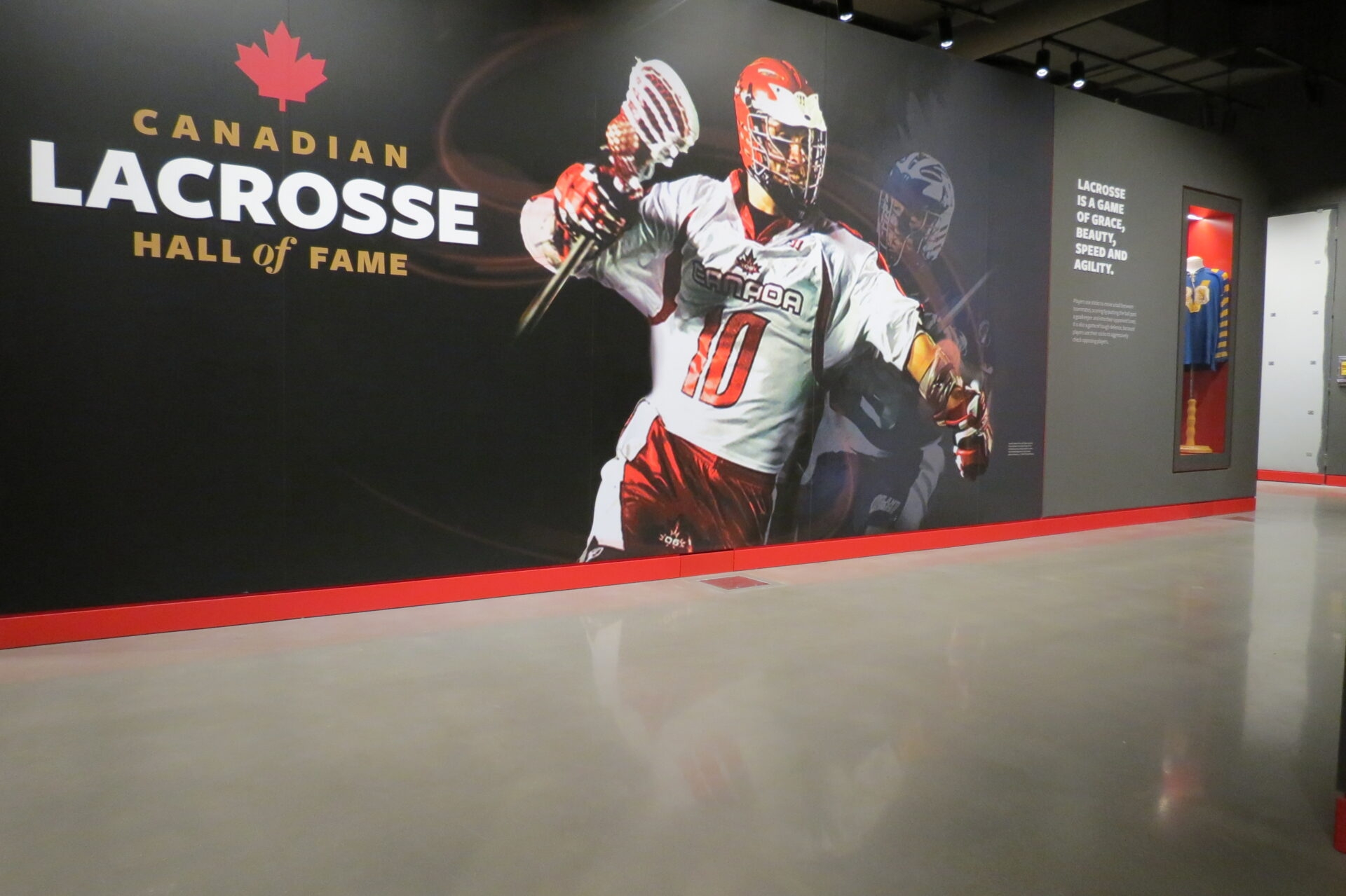 System One Floor Solutions | Your Flooring Experts